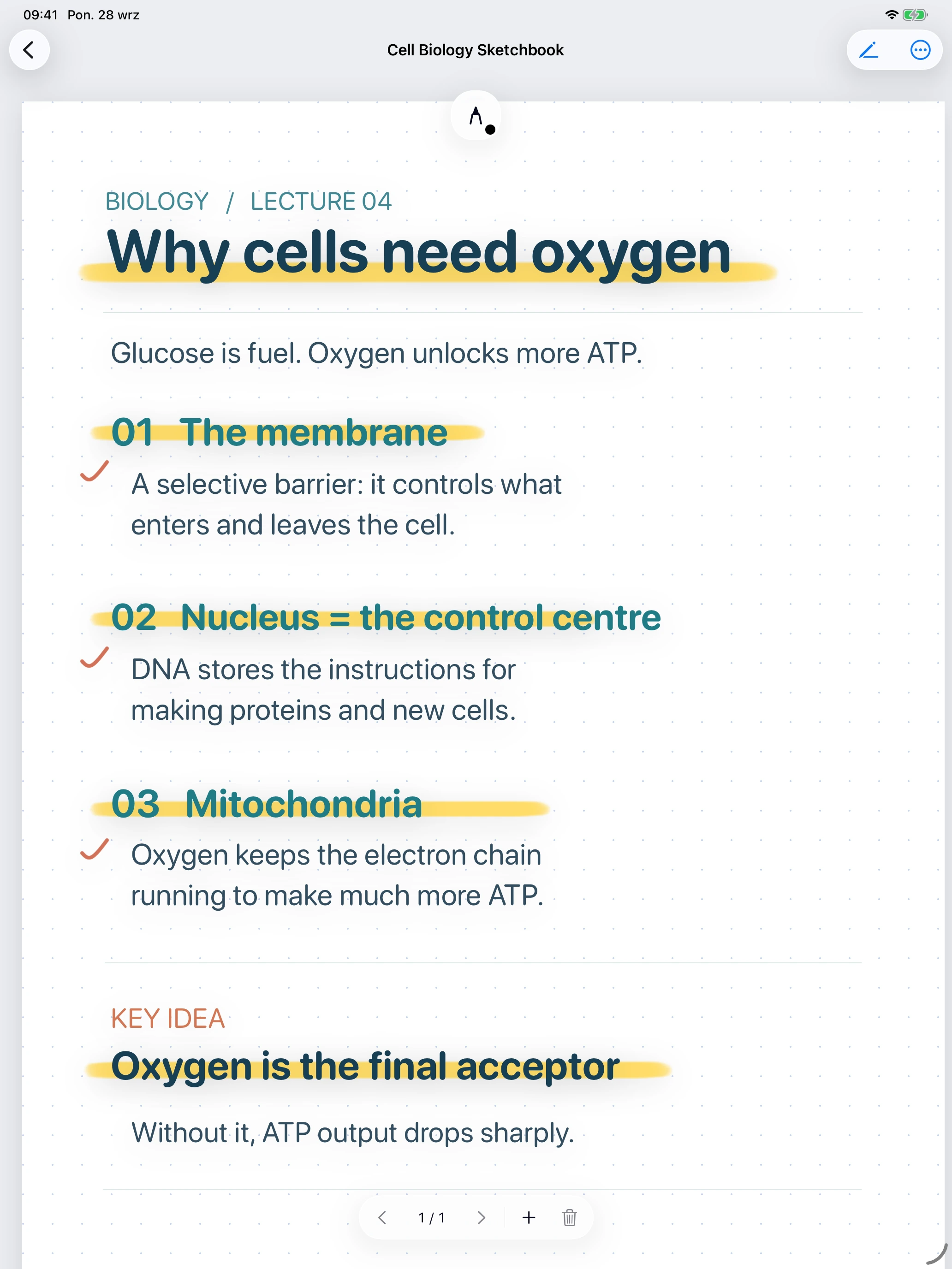 Noteo handwriting editor on iPad, showing a biology page with handwritten notes and yellow highlights